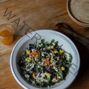 Fava Tendril Leaves, Wild Arugula, Page Mandarin, and Egg Salad with a Page Mandarin and Wildflower Honey Dressing